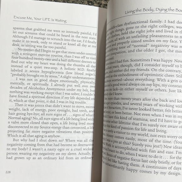 Excuse Me, Your Life is Waiting: The Astonishing Power of Feelings Lynn Grabhorn - Picture 9 of 16